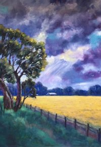 Canola Fields and Storm Clouds