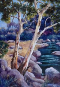 Above the Falls - Barwon-River
