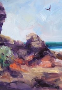 Barwon Heads Bluff from 13th Beach