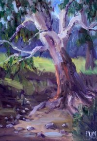 Fyansford Gum Tree and Puddle