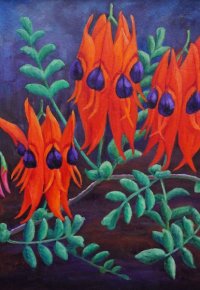 Sturts Desert Pea