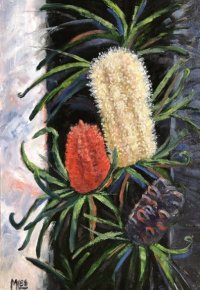 Bellarine-Banksias-1