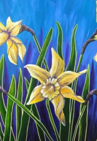 Daffodil Dance