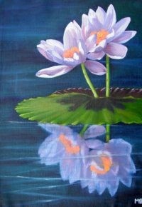 Dreamtime Waterlily
