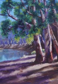 Edward-River - Deniliquin