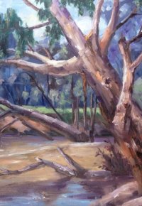 After the Flood - Ovens River Wangaratta